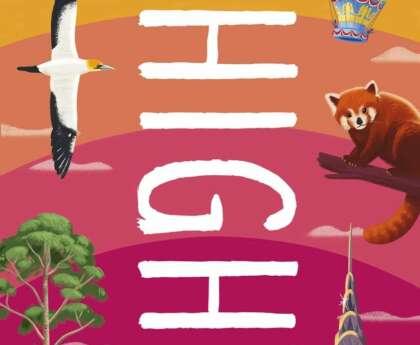 Highest Flying Bird